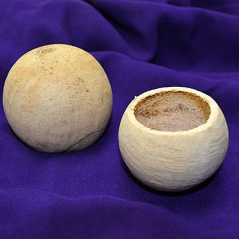 Bell Cup Bleached | Set of 3