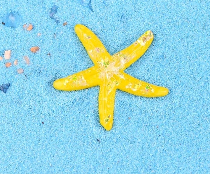 Crystal star fish miniature - set of 4