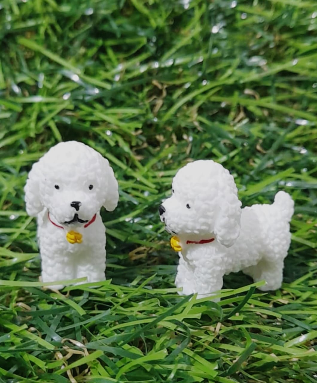 Dog Miniature