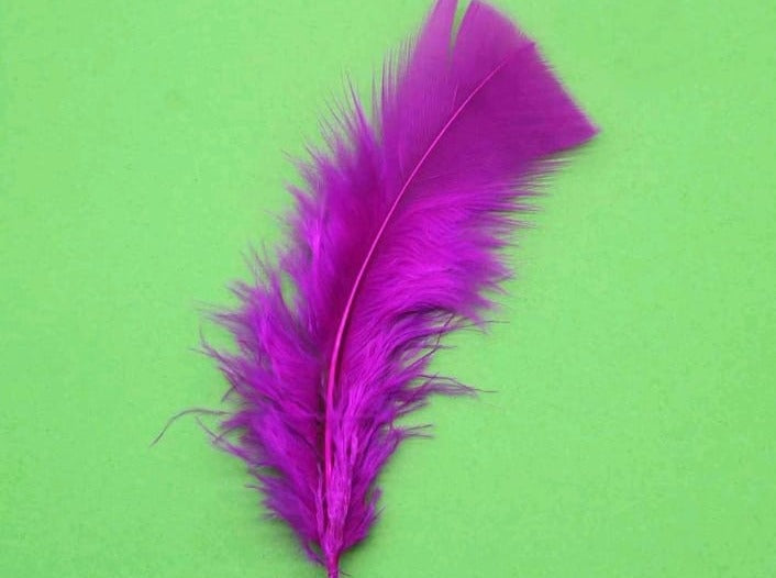 Feathers