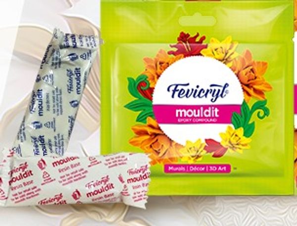 Fevicryl Mouldit - 50g