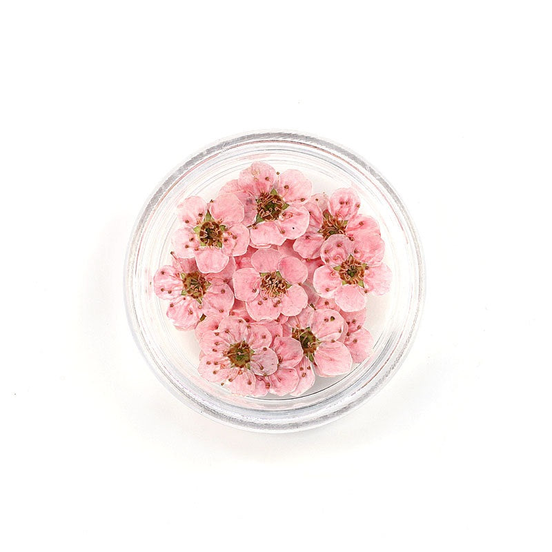Pressed Cherry Blossom Bestow Charms
