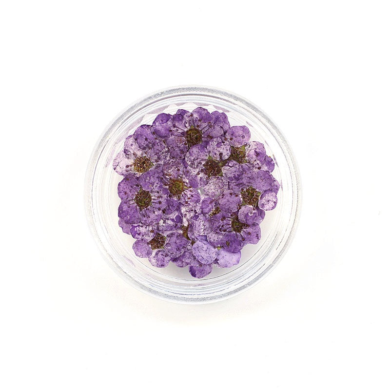 Pressed Cherry Blossom Bestow Charms