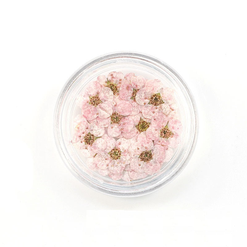 Pressed Cherry Blossom Bestow Charms