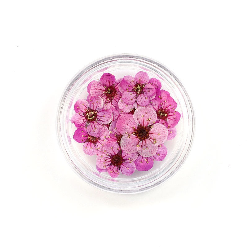 Pressed Cherry Blossom Bestow Charms