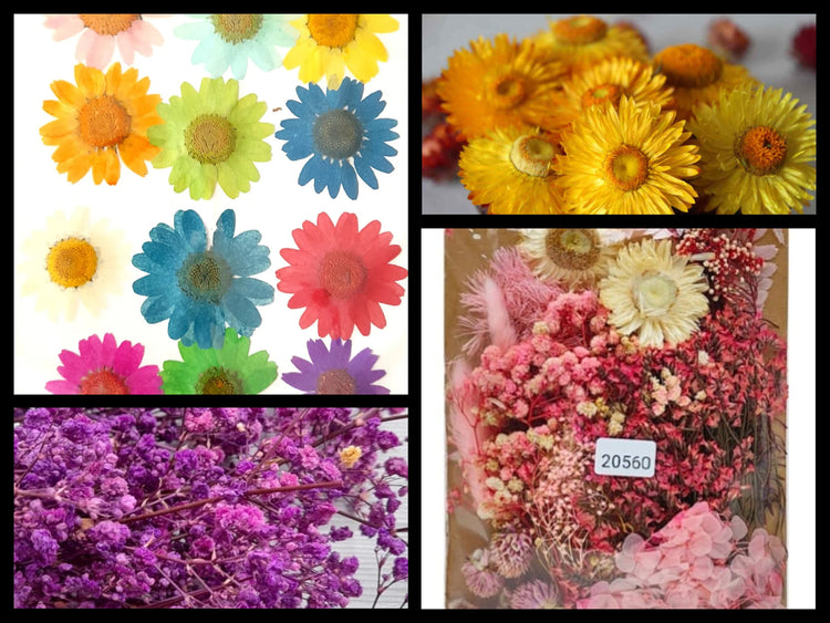 Dry Flowers
