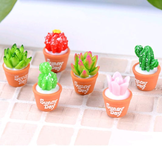 Miniature Cactus Pots - Set of 3