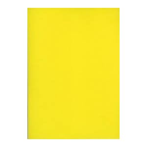 A4 Color Paper - Set of 10 - 80gms