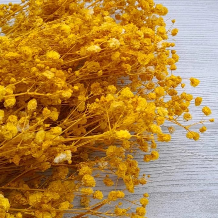 Baby Breath Preserved Dry Flowers | Natural Dry Flowers  | Preserved Dry Flowers 10g Bestow Charms
