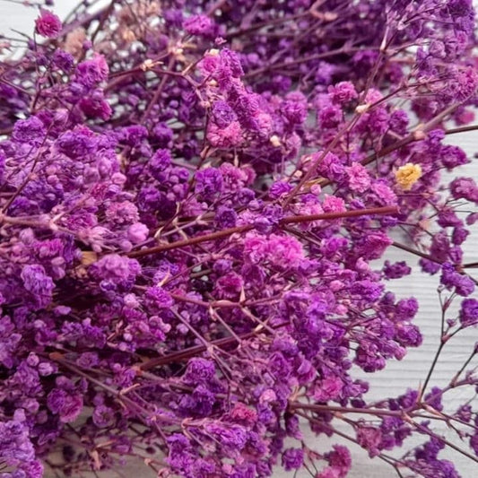 Baby Breath Preserved Dry Flowers | Natural Dry Flowers  | Preserved Dry Flowers 10g Bestow Charms