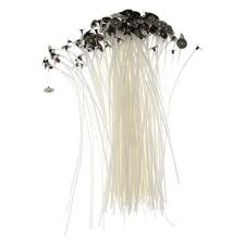 Candle Wick - 6cm