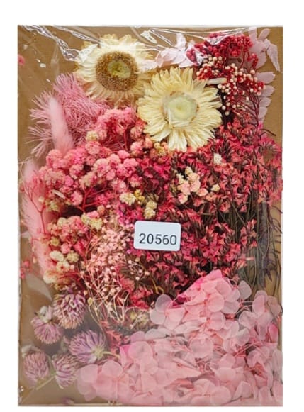 Dry Flower Color Combo Set