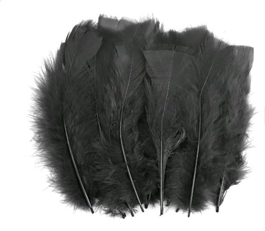 Feathers