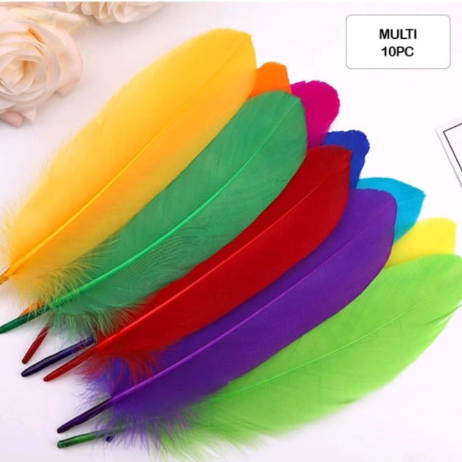 Feathers  - Multicolor