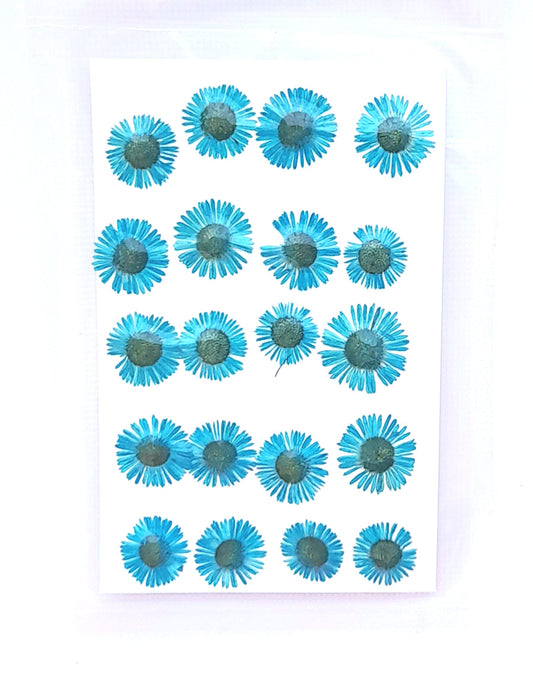 Pressed Chryshantham Bestow Charms