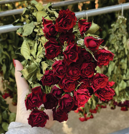 Natural Dry Roses - Full Bunch