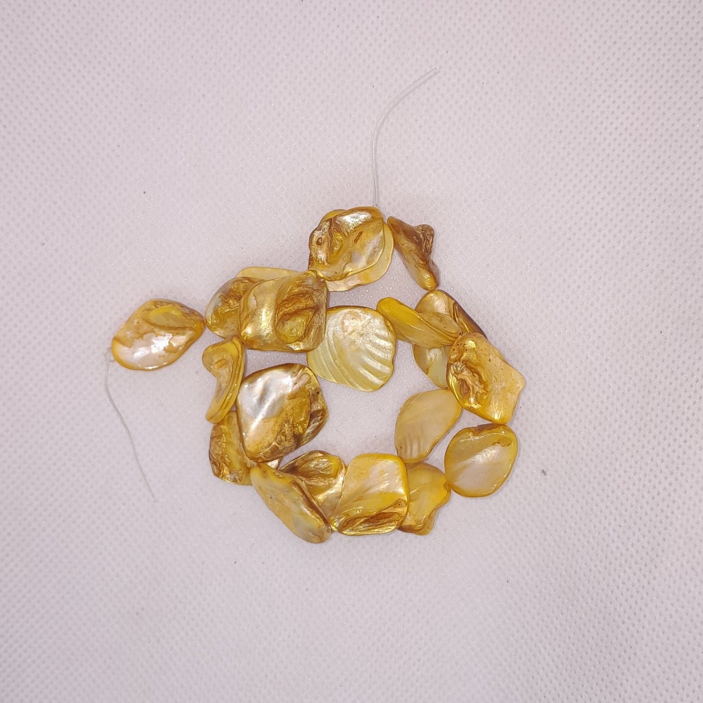 Shell Beads