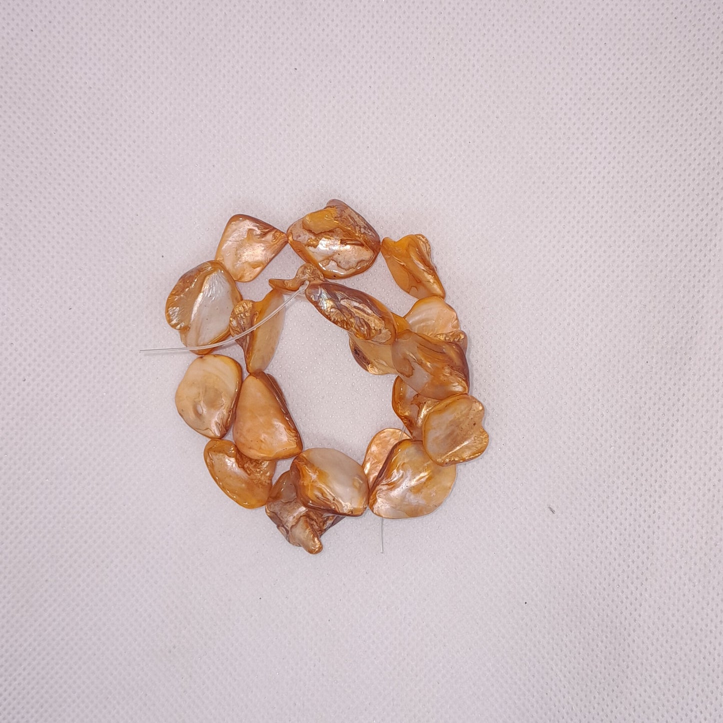 Shell Beads