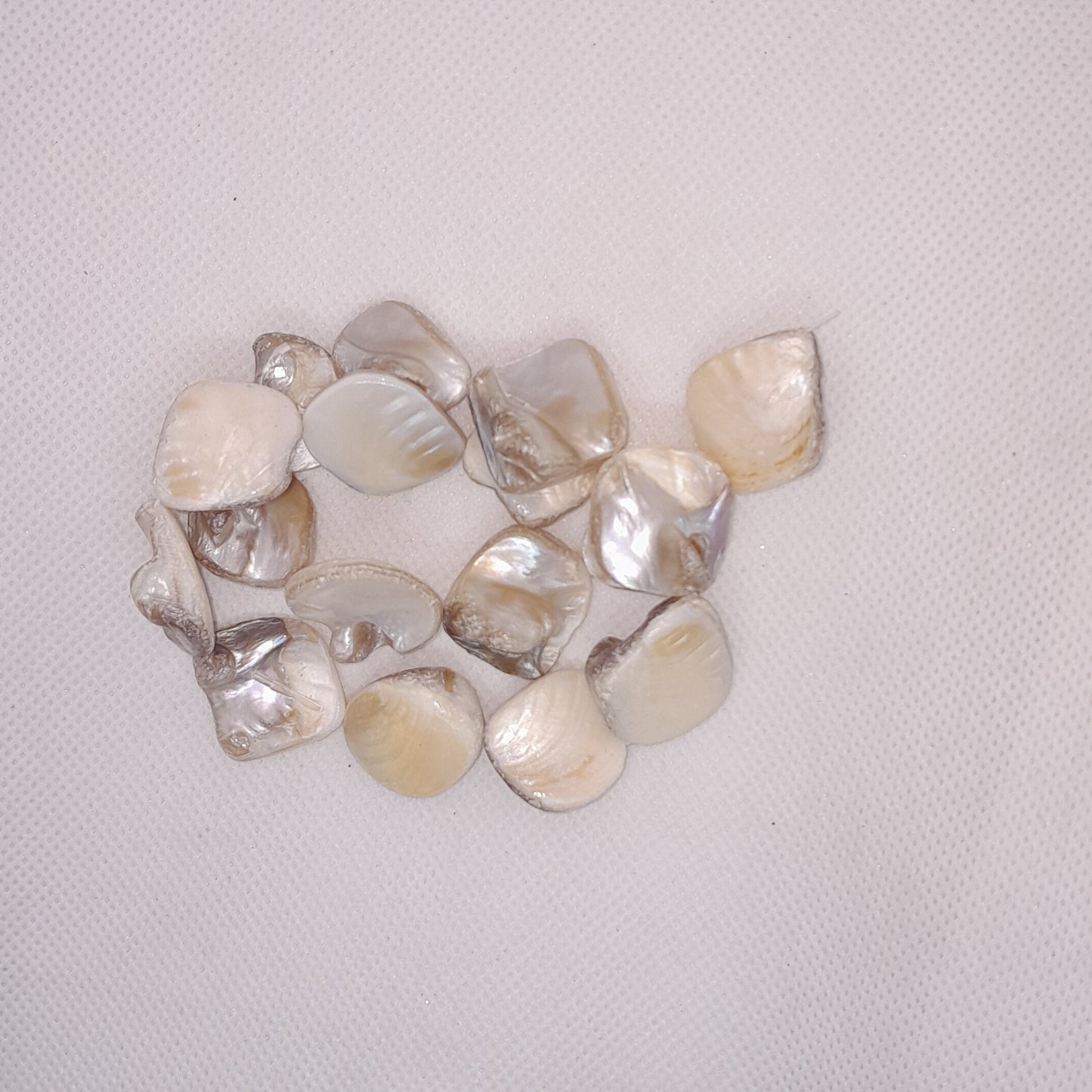 Shell Beads