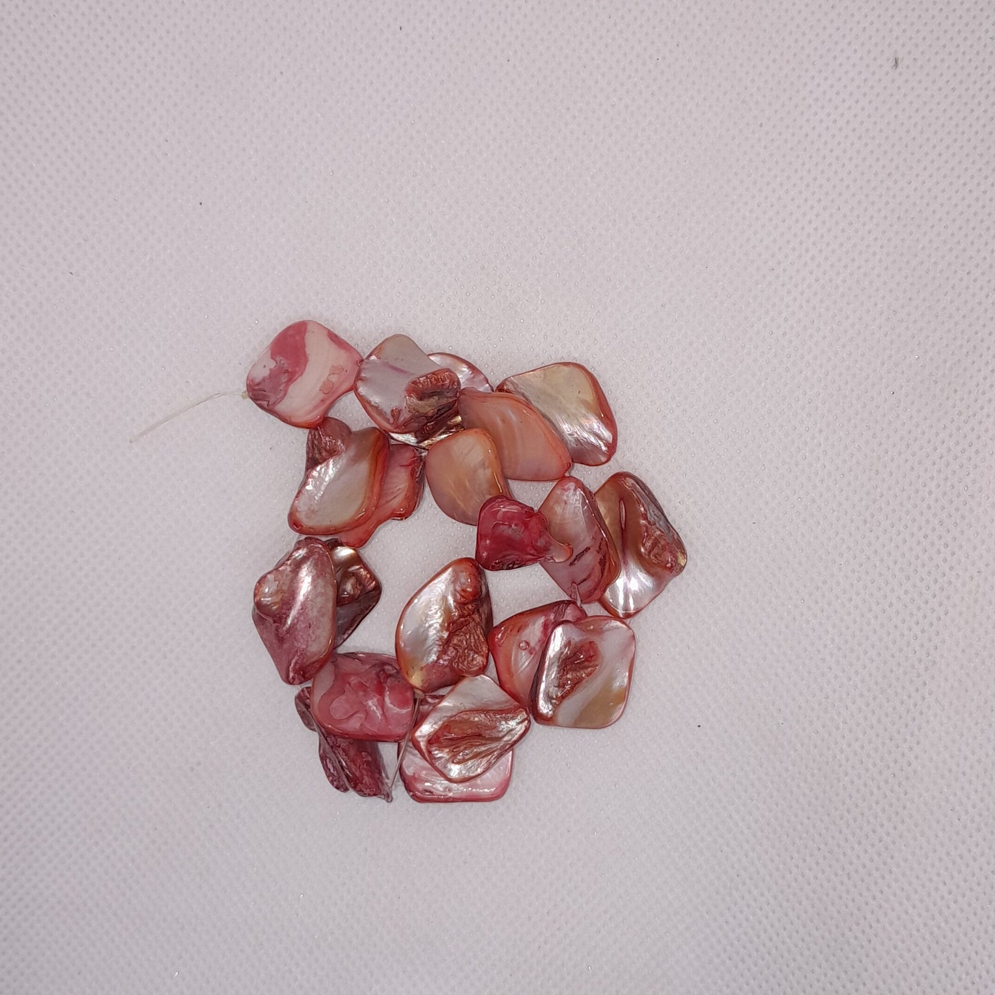 Shell Beads