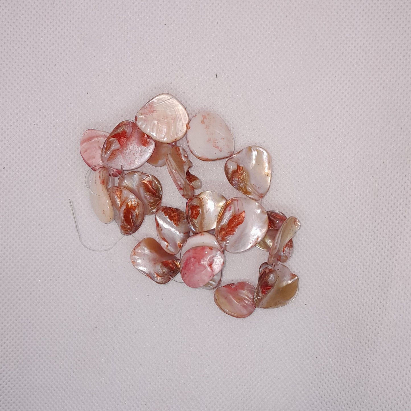 Shell Beads