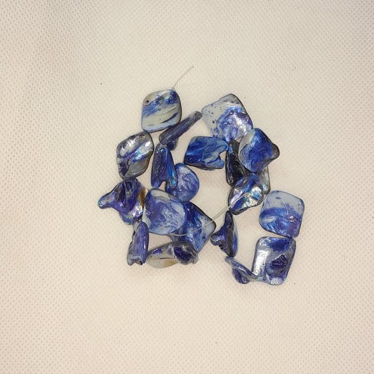 Shell Beads