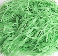 Shredded Paper 100g