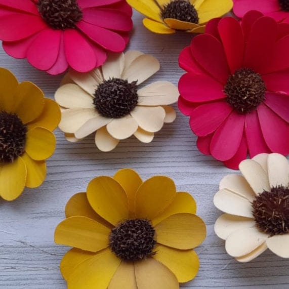 Solawood Flowers | Set of 10 | Mixed Pack Bestow Charms