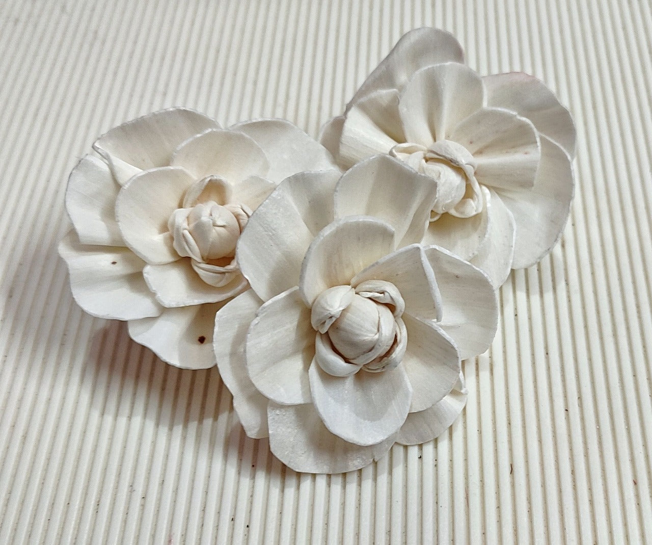 Solawood White Rose | Set of 10