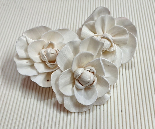 Solawood White Rose | Set of 10