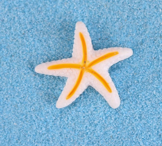 Star fish 2.5cm miniature - set of 5