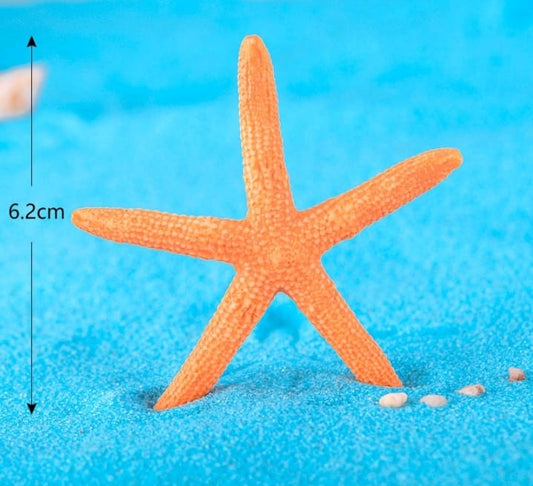 Star fish 6.2cm miniature - set of 5
