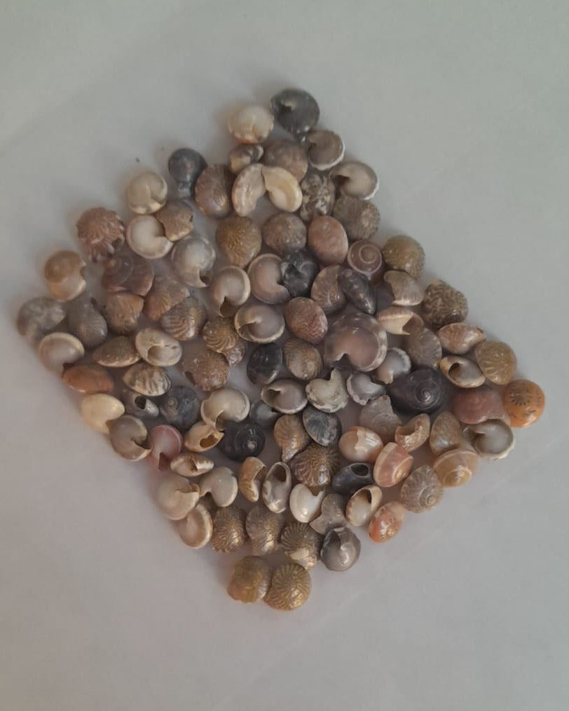 Collection of small, multicolored stones arranged in a diamond pattern on a light background.