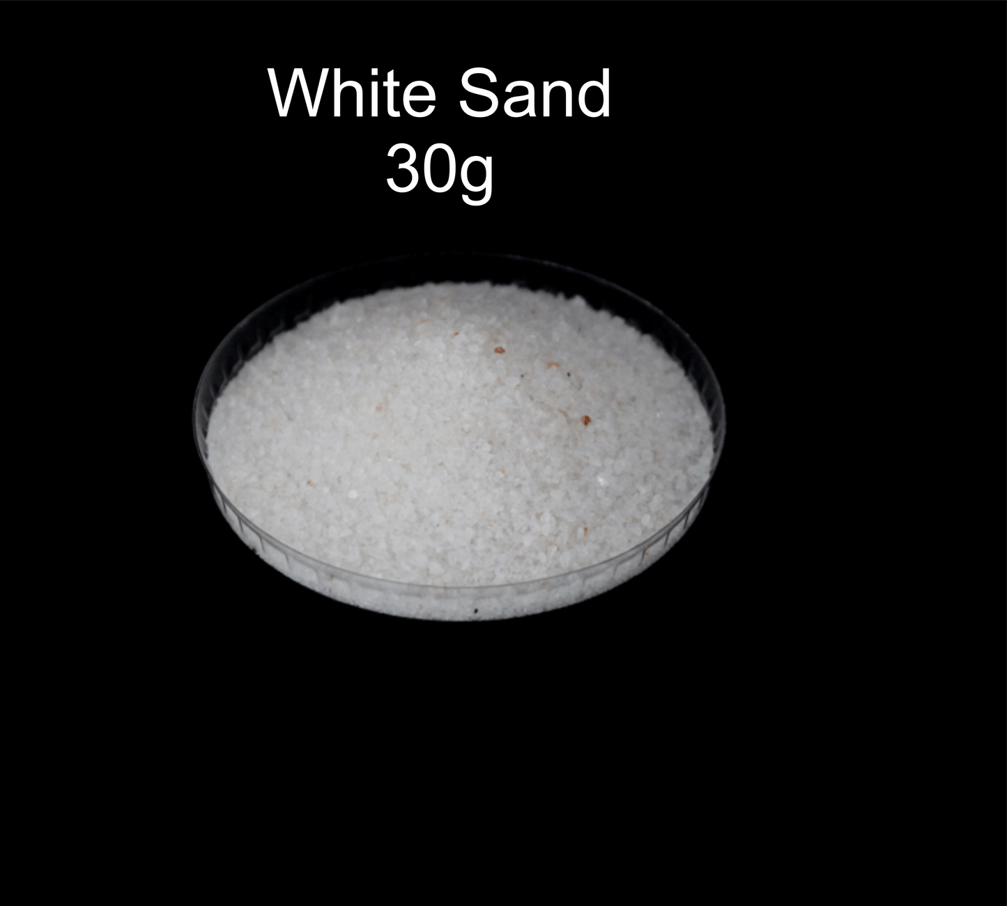 Ocean Theme Set 1 | Sea Cone | White shells Small Ideal  | For Craft, Decor, Resin Art (Hand Sorted Single Type Shells) Bestow Charms