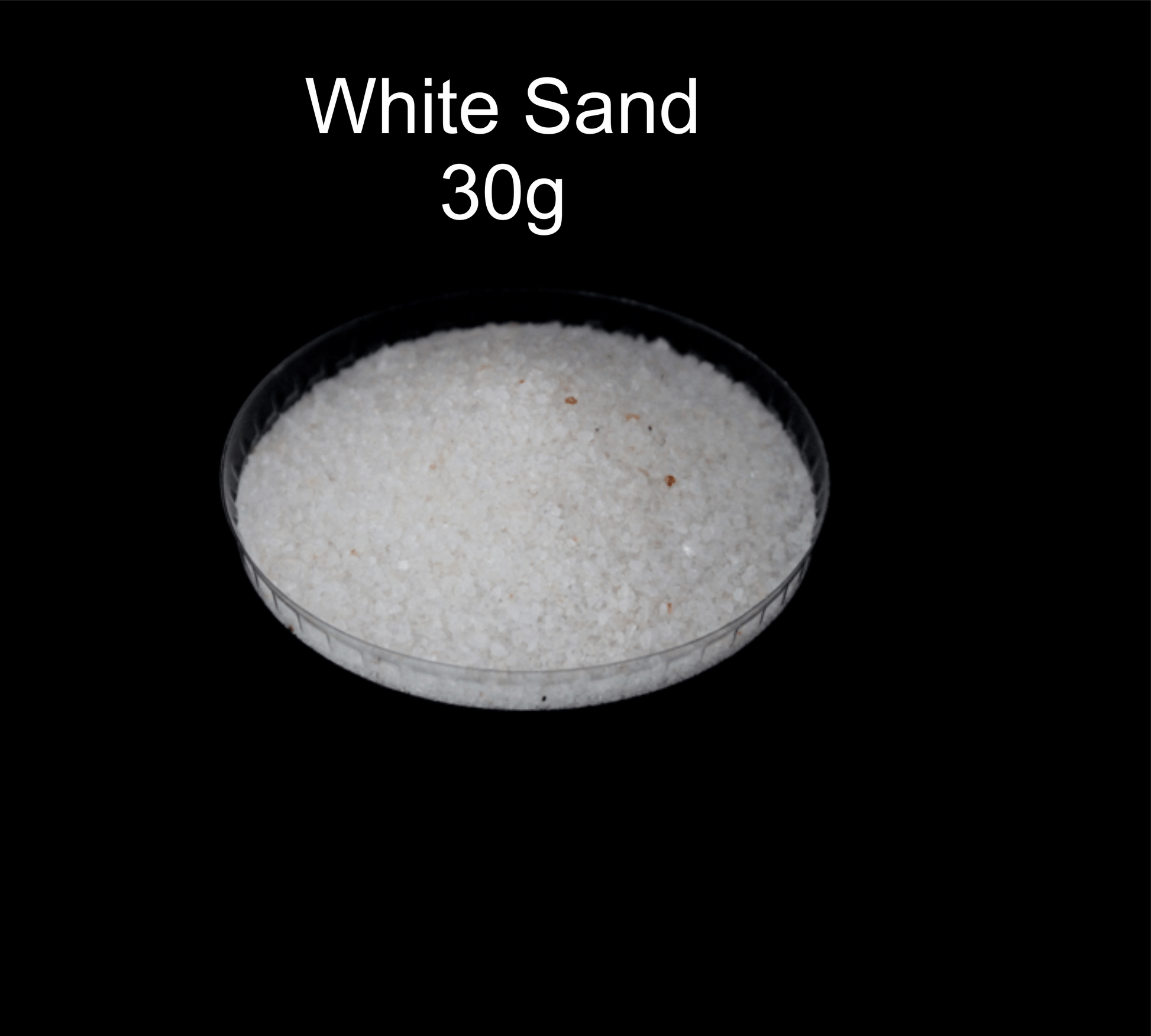 Ocean Theme Set 1 | Sea Cone | White shells Small Ideal  | For Craft, Decor, Resin Art (Hand Sorted Single Type Shells) Bestow Charms