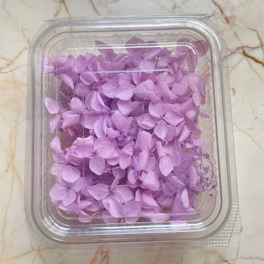 Hydrangeas - 10gms
